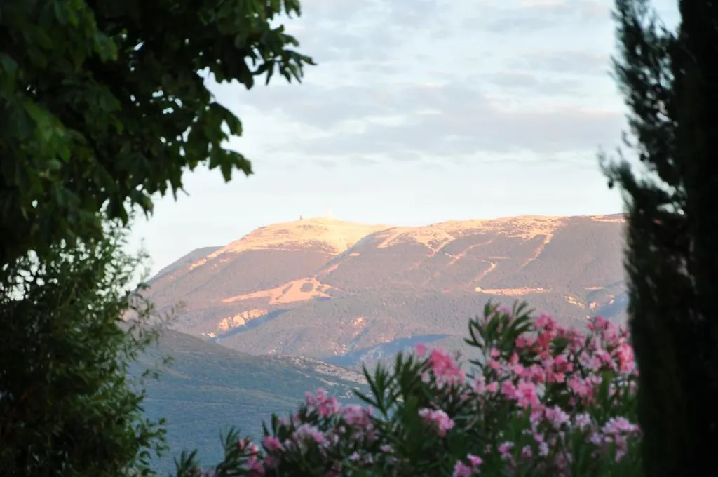 Le Mas De La Gloriette Hotel Merindol-les-Oliviers Guest house